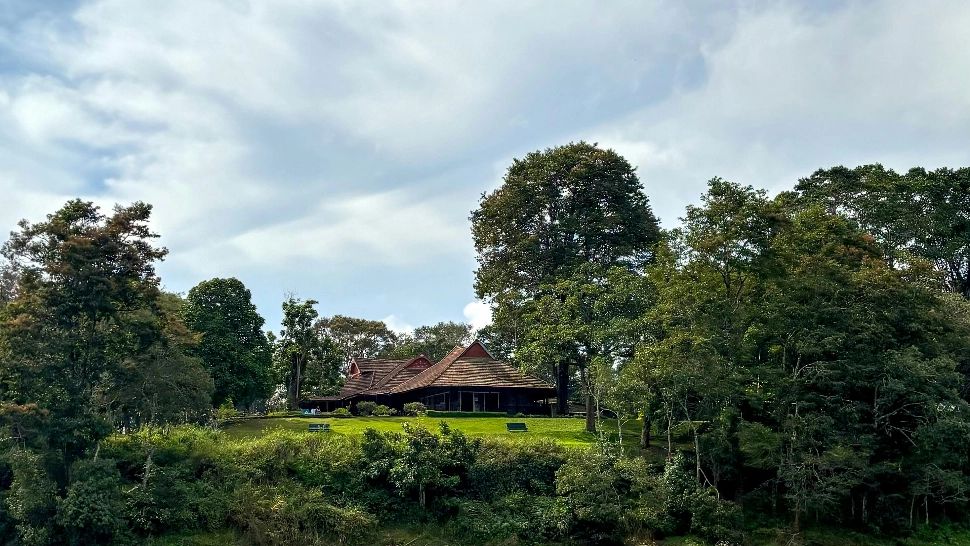 De ce să plantăm copaci in jurul casei? Care sunt beneficiile. Sigur nu știai asta!