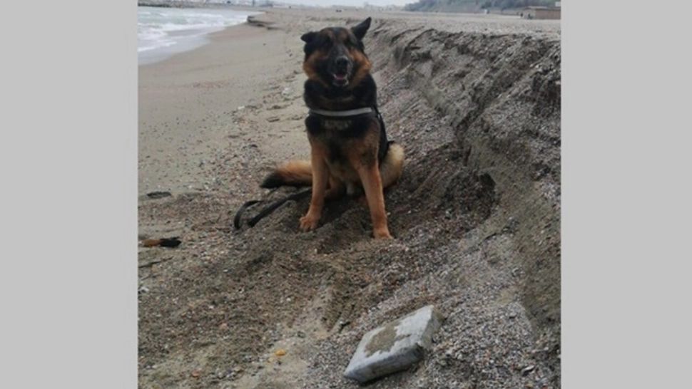 Decizie șoc a instanței! Unul dintre cele mai mari dosare de trafic de droguri din România se întoarce la DIICOT