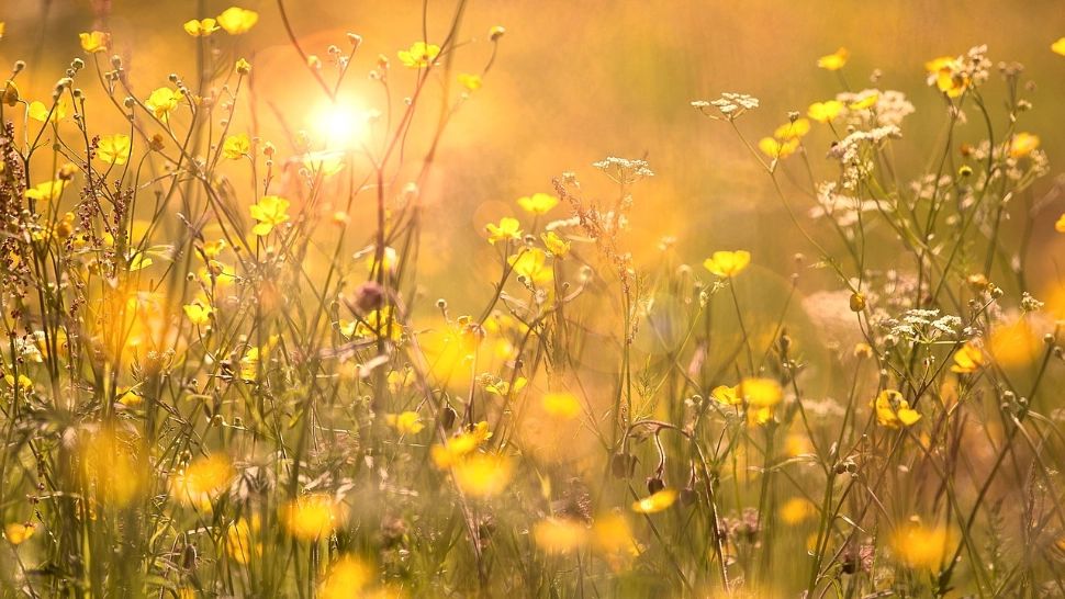 Anul acesta, vara întârzie să apară: de când se încălzește vremea în toată țara? Temperaturile pot atinge 28 de grade, dar nu scăpăm de ploi