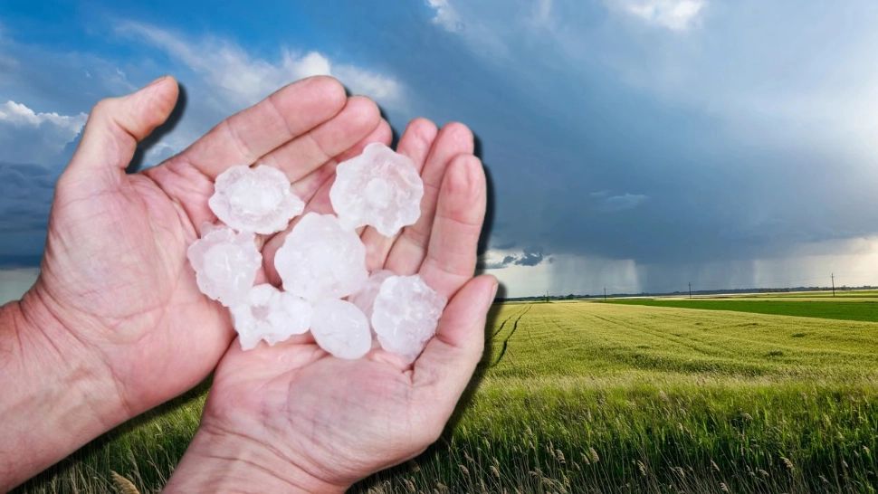 Vești bune pentru fermieri. S-a lansat aplicația care le salvează culturile de grindină 