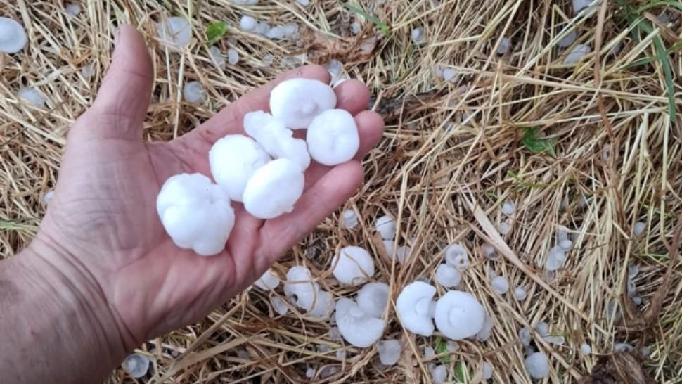 Județul Constanța, lovit de o furtună cruntă. Bucăți de gheață cât ouăle de prepeliță la Lipnița și Băneasa 