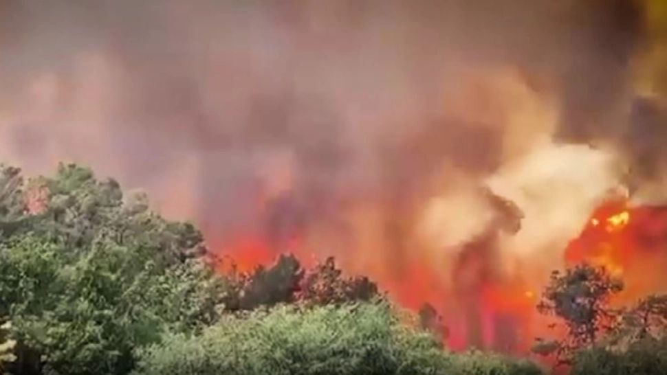 Incendiu devastator: România trimite avioane la Ierusalim