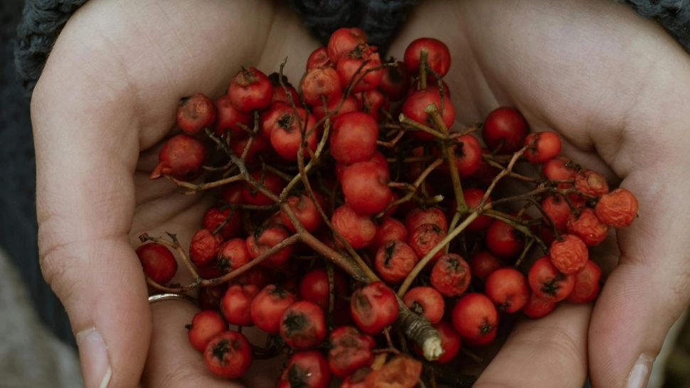 Ce TREBUIE să bei, ca să nu ai niciodată probleme cu inima