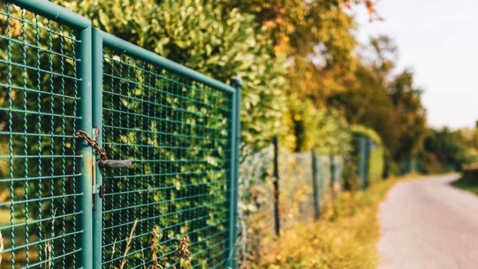 Statul dă 15.000 de lei celor care sunt în pericol. Ce trebuie să bifezi pentru a intra în posesia lor