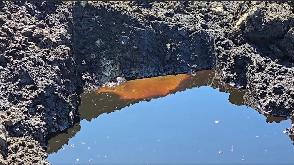 Fenomen rar în România. Comuna în care petrolul țâșnește din pământ și iese la suprafață - FOTO