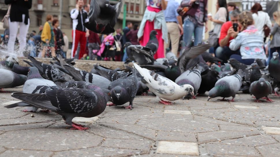 Orașul surprinzător din România: salarii de top și costuri de trai accesibile. Locul care redefinește echilibrul economic urban cu salarii de 1.300 de euro