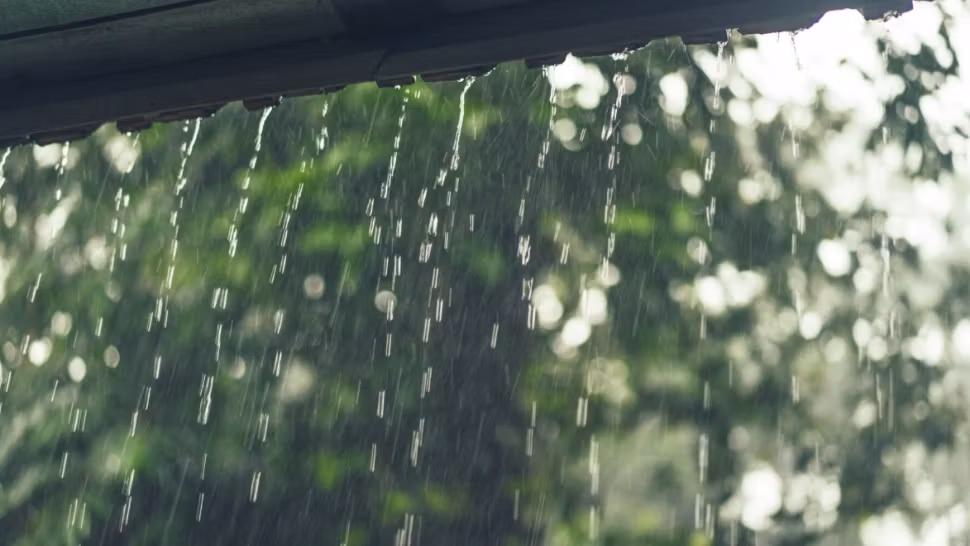 Cod galben de vreme extremă în țară: ploi și ninsori anunțate de directorul ANM