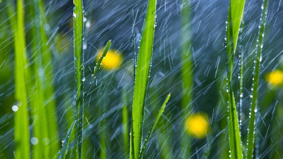 Vremea 7 mai. Temperaturi în scădere, ploi și vijelii în mare parte din țară. Maximele nu vor trece de 18 grade 