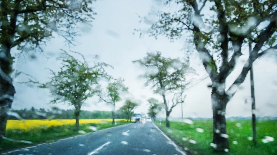 5 județe, sub Cod galben de ploi însemnate cantitativ. În restul țării sunt așteptate temperaturi scăzute, vânt și ninsori la munte