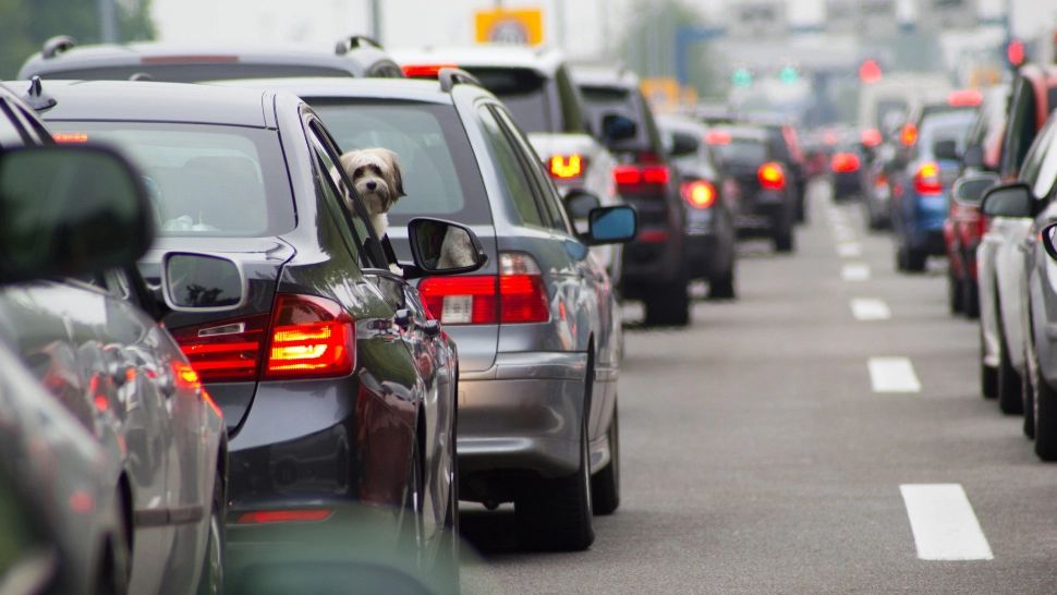 Noi REGULI pentru proprietarii de mașini! Sunt vizați șoferii care conduc autoturisme pe motorină și disel: ce li se pregătește