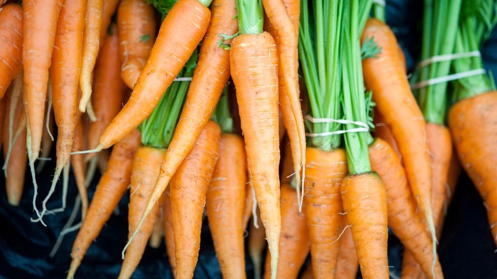 Ce trebuie să punem la rădăcina morcovilor pentru o recoltă bogată și extrem de sănătoasă: luna mai este ideală pentru a face asta