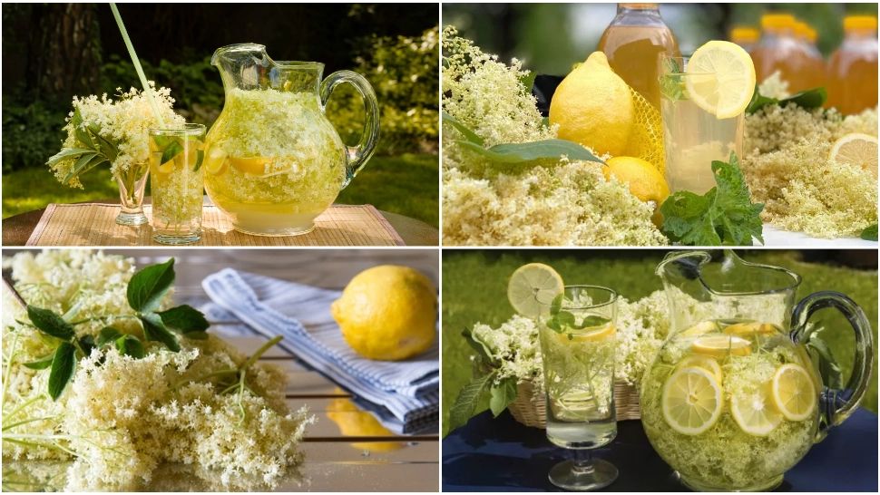 Socată cu lămâie. Rețeta tradițională a bunicii, perfectă pentru zilele toride 