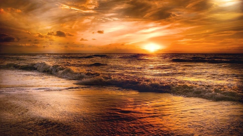 Când începe programul „Litoralul pentru Toți” 2025: vacanțe accesibile la malul mării. Ce preț are cazarea și ce condiții trebuie să îndeplinești