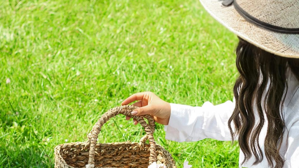 Începe sezonul GEMENI 20 mai – 19 iunie 2025. Evenimente astrale IMPORTANTE. Cum sunt influențate ZODIILE