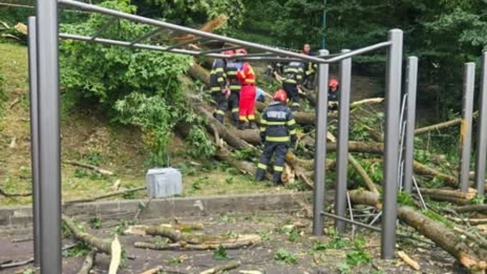 Tragedie la Brașov, în plină zi. Un tânăr a murit, o tânără este în stare gravă, după ce un copac a căzut peste ei