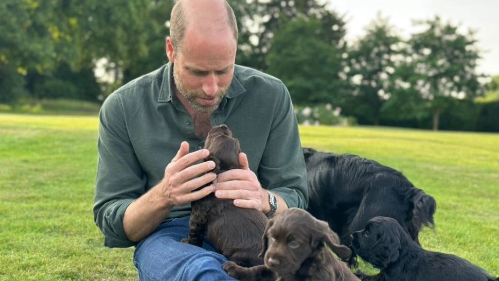 Prințul William și prințesa Kate, acuzați că sunt „rupți de realitate”. Val de critici din cauza unei fotografii cu câinii familiei