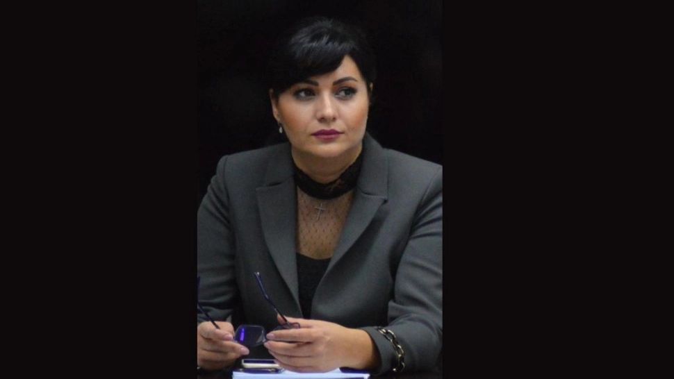 Şefa ANAF, chemată în Parlament să dea explicaţii cu privire la evaziunea fiscală şi proasta colectare a taxelor
