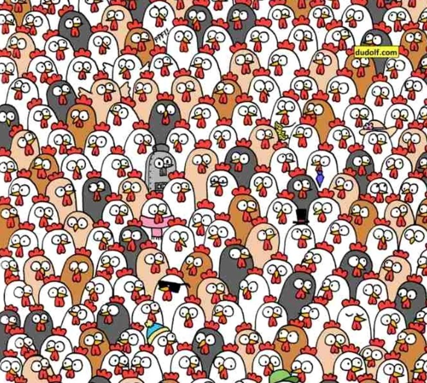 Unde se ascund cele trei bufnițe printre zeci de găini? Majoritatea greșesc!