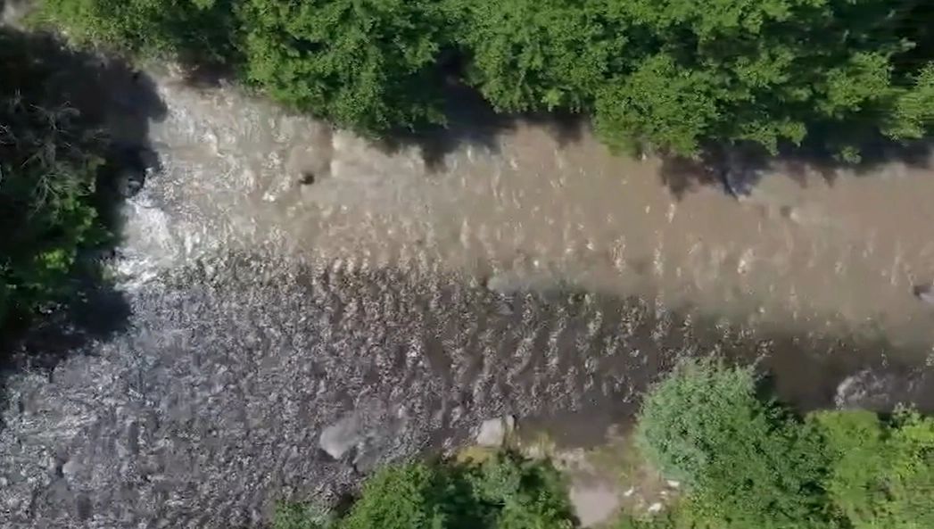 Dezastrul de la Praid ia amploare! Pești și castori morți, salinitate scăpată de sub control