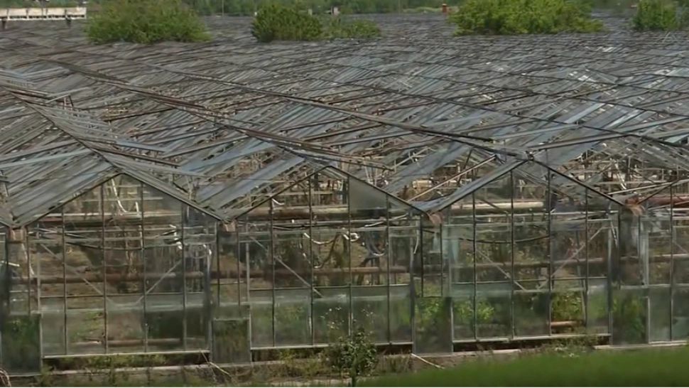 Cum și-a construit Becali un IMPERIU. Circuitul BANILOR: Dan Tanasă, analiză devastatoare la Realitatea PLUS