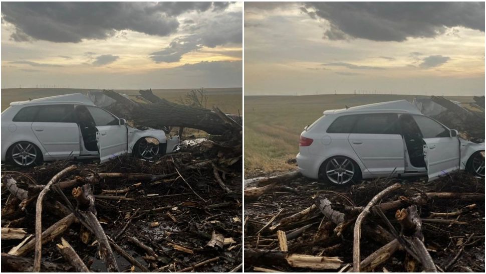 Copac dobortât de vânt peste o mașină în Teleorman! Două femei și doi copii, transportați la spital 