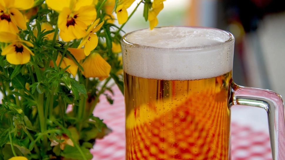 Cum să-ți prepari singur berea. Rețeta naturală a celei mai răcoritoare băuturi