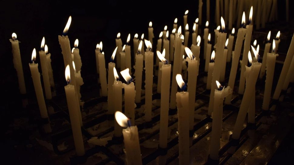 Tragedie neașteptată în lumea afacerilor: un miliardar celebru a MURIT după ce a înghițit o albină