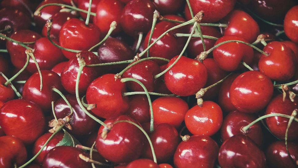 Ce se întâmplă dacă mănânci cireșe cu viermi și cum poți să îi elimini din fructe în mod natural. Metoda folosită de bunicii noștri