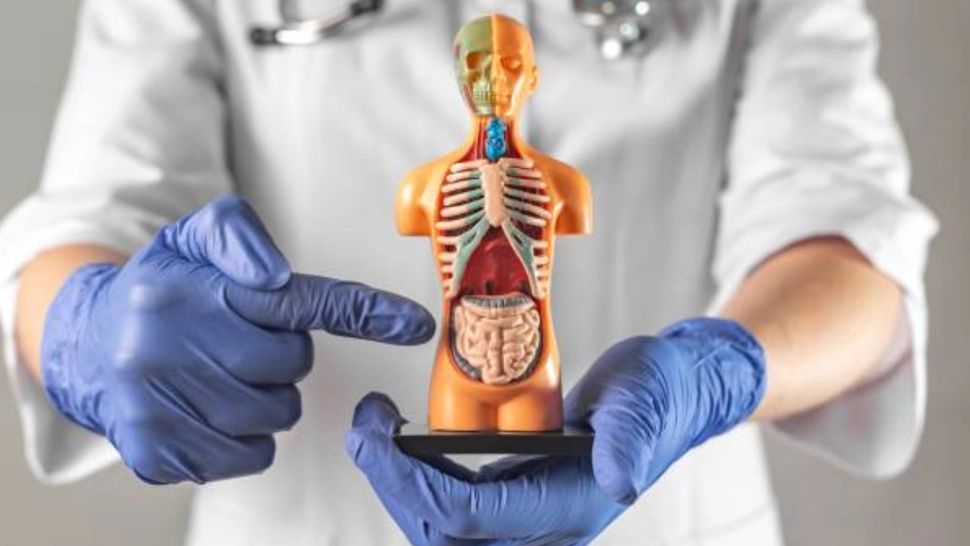 Intervenția endoscopică esențială pentru prevenție