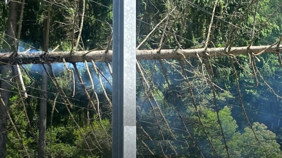 Circulația TRENURILOR este blocat pe Valea Prahovei: Un copac a căzut pe calea ferată