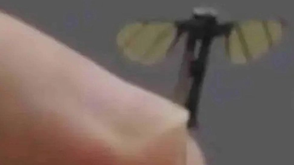 Chinezii au inventat drona cât un țânțar, care poate spiona pe oricine VIDEO