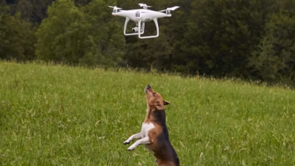 Cum a ajuns un sat să fie asaltat de drone. Aparatele filmează copii în grădini, oameni în baie și încearcă să pătrundă în case