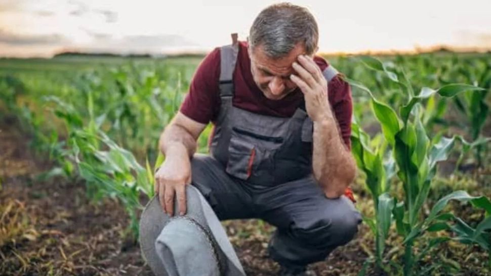 Prețul pentru îngrășământ s-a dublat. Alimentele vor deveni mult mai scumpe