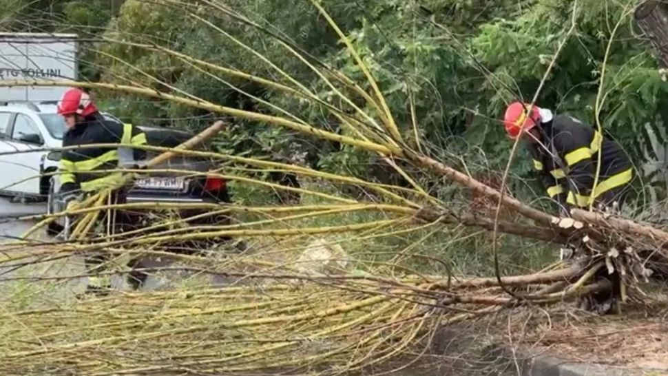 Copaci doborâți de furtună la Iași. Un arbore a căzut peste o ambulanță, altul peste ghereta unu paznic - FOTO
