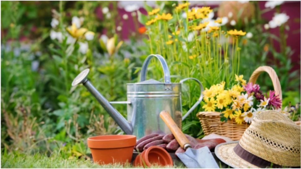 Activitățile interzise în propria grădină în luna iunie! Riști să te alegi cu o amendă colosală 