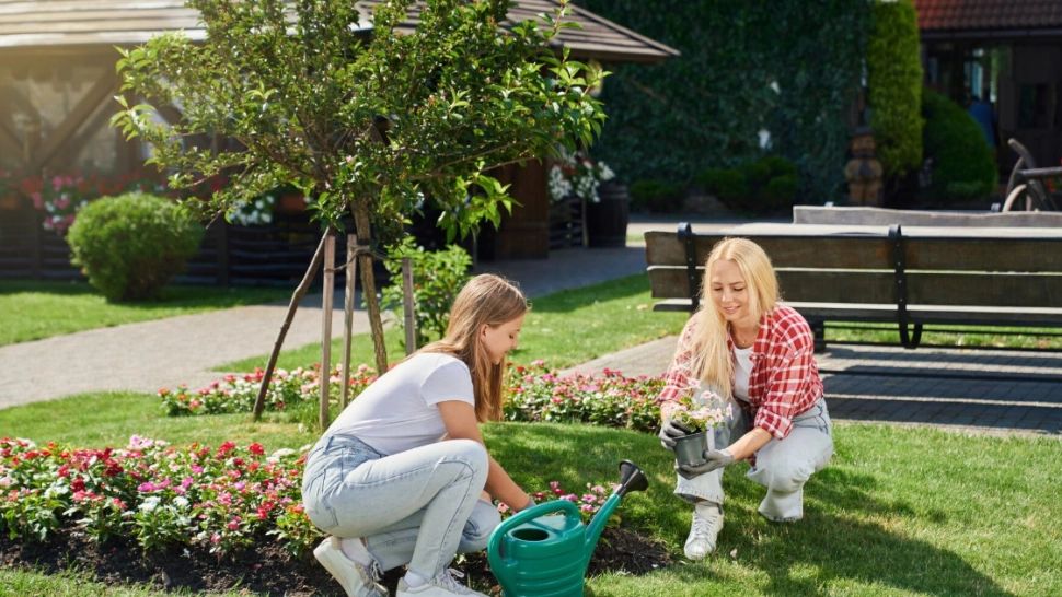 Noi restricții pun pe jar europenii. Nu mai au voie să facă un lucru simplu în jurul casei lor