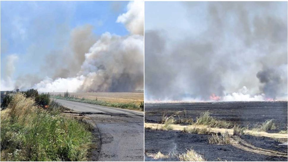 Incendiile de vegetație au făcut prăpăd în județul Dâmbovița. Pompierii au intervenit în mai multe localități 