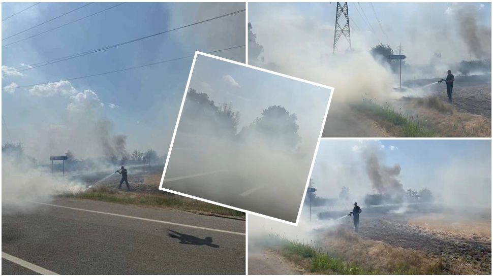  Incendiu puternic în Dolj! Peste 70 de hectare de vegetație uscată, mistuite de flăcări. Traficul a fost deviat 