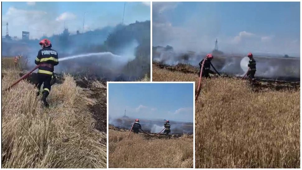 Incendiu de vegetaţie pe marginea DN 1, în zona centurii de vest a Ploieştiului.  A fost emis mesaj RO-Alert