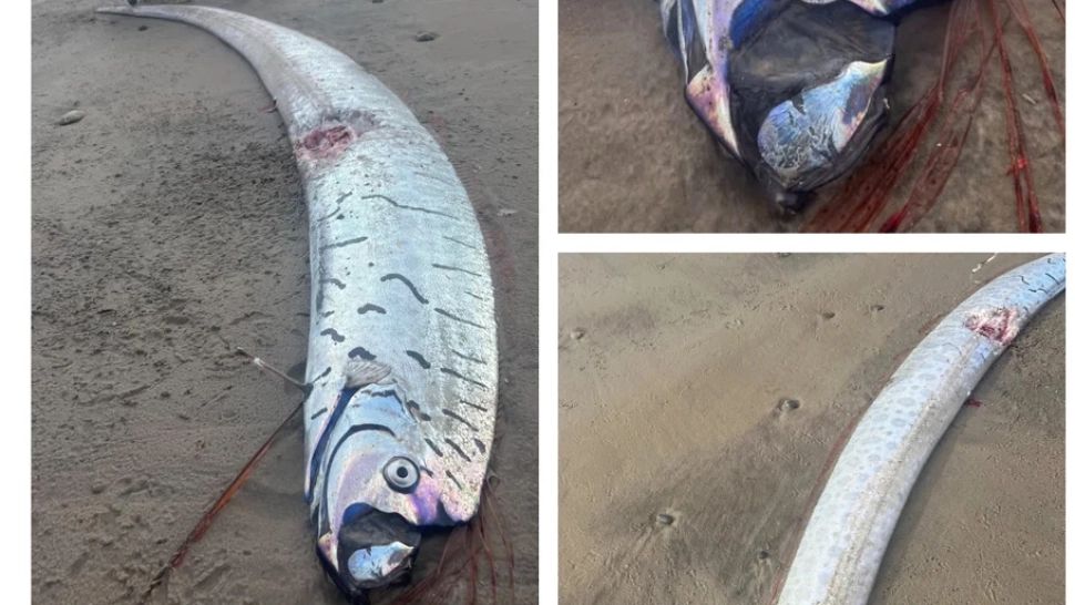 O nouă apariție înfricoșătoare a „Peștelui Apocalipsă”, monstrul din adâncuri care ar prevesti dezastre