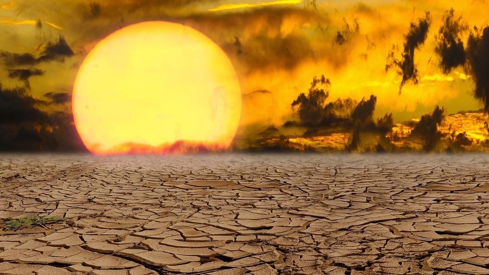 Japonia, sub asediul caniculei: trei morți și sute de persoane afectate de temperaturile extreme. Recorduri istorice în 14 orașe