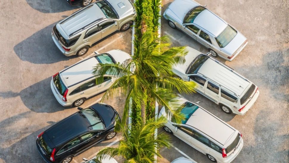 Cât costă parcarea pe litoral în 2025. O stațiune îi amendează pe șoferi cu 1.000 de lei pentru neplată în timp ce în alte stațiuni este gratuită