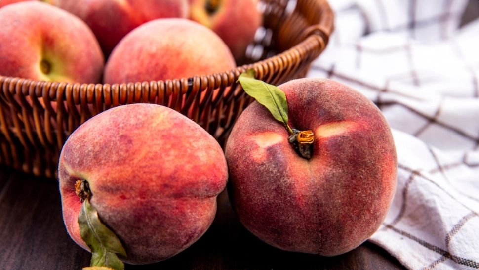 Secretul bunicilor pentru piersici zemoase și arbori rezistenți: Trucuri naturale care îți vor transforma livada