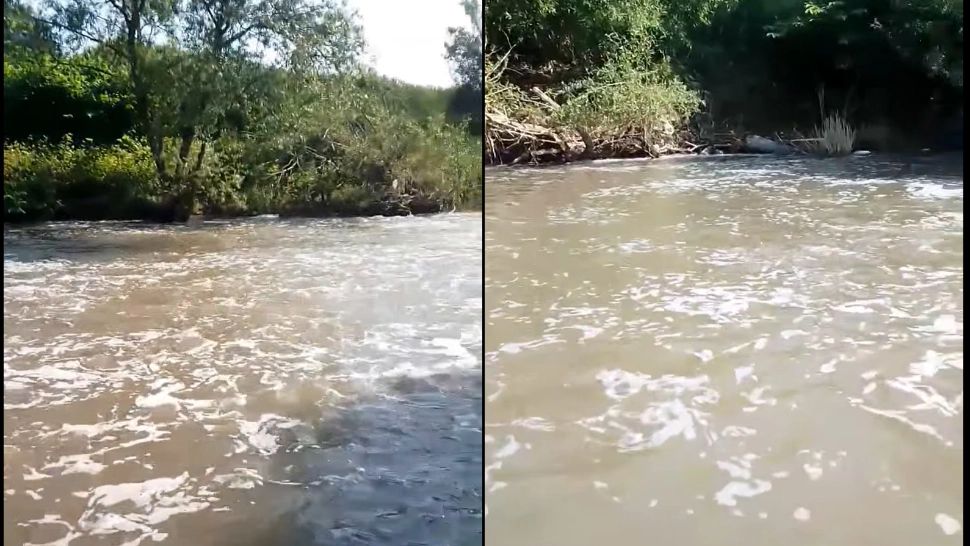 Dezastru ecologic pe Târnava Mică, după inundațiile de la Praid. Mai multe localități au rămas fără apă potabilă, iar pe râu plutesc pești morți - VIDEO