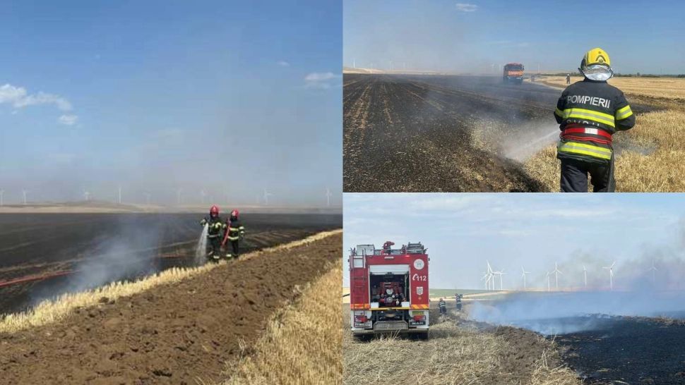 Incendiu de proporții în județul Tulcea. Aproximativ 10 hectare de cultură agricolă, mistuite de flăcări