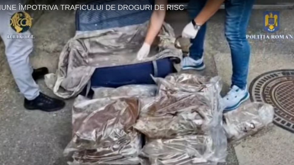 Rețea de traficanți, destructurată: aproape 50 kg de canabis aduse din Spania prin curierat