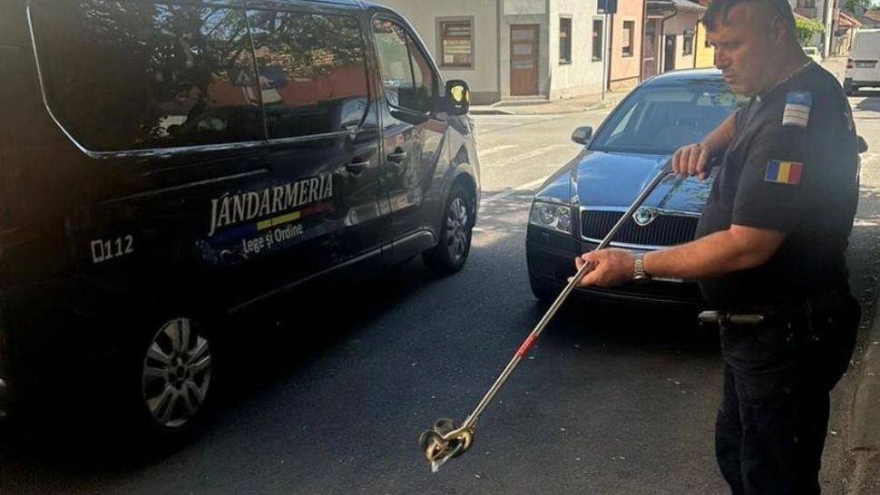 Panică în județul Mehedinți! Jandarmii, solicitaţi să îndepărteze doi şerpi 