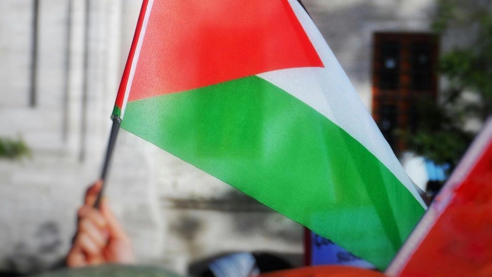 Protest în Olanda față de acțiunile Israelului în Gaza, în urma cărora peste 55.000 de palestinieni ar fi fost uciși