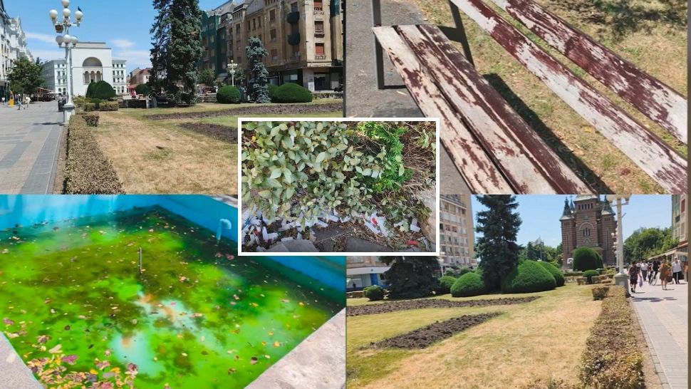 Orașul în care domnește Dominic Fritz, sub alertă roție de praf și mizerie! Timișorenii sunt extrem de revoltați. ”Străzile sunt pline de deșeuri”