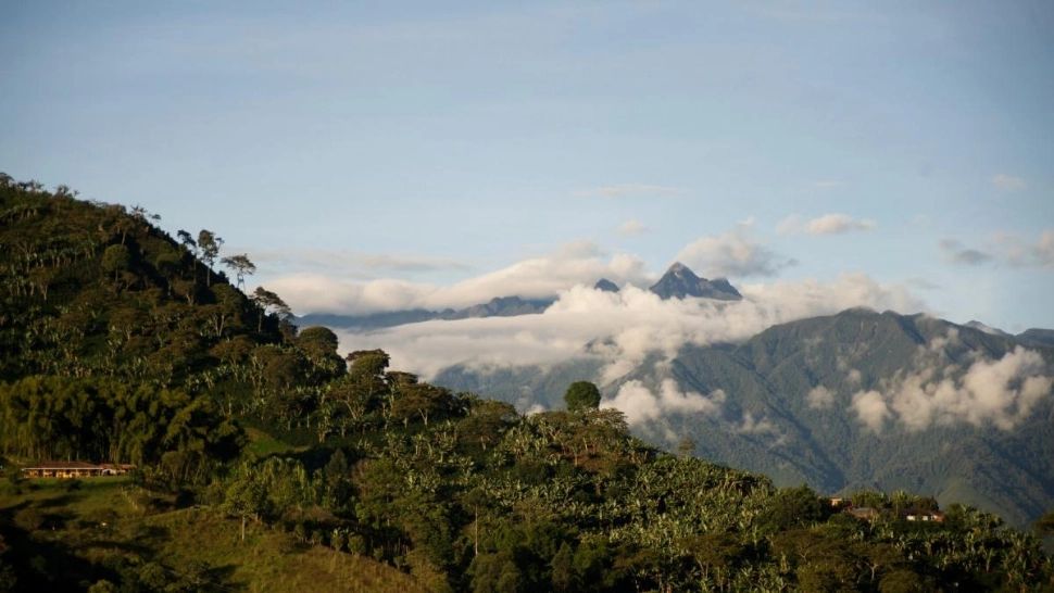 Descoperire genetică uluitoare în Columbia: un tip de ADN necunoscut până acum, identificat în rămășițe umane vechi de mii de ani